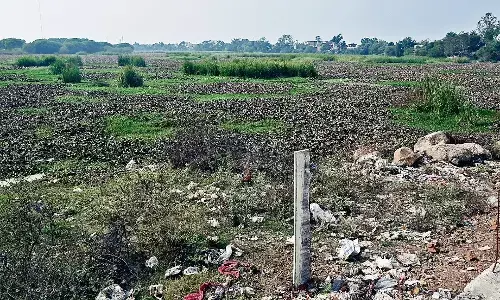 माढ़ोताल तालाब में खुलेआम हो रहे अतिक्रमण पुल के किनारे धड़ल्ले से किया जा रहा निर्माण