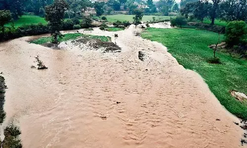 बरगी बांध की दायीं तट नहर टूटी, फसल लगे खेत तालाब में बदले