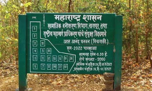 नागपुर में मियावाकी तकनीक से लगाए 18 हजार पौधे