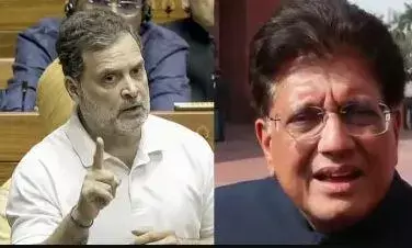 भारत-अमेरिकी ट्रेड डील पर राहुल के सवालों पर भड़के केंद्रीय वाणिज्य मंत्री, वे अपरिपक्व हैं, उन्हें अर्थव्यवस्था की समझ नहीं