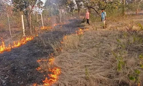 गर्मियों में वन अग्नि रोकने दक्षिण वनमण्डल में फायरलाइन का कार्य जोरों पर गर्मियों में वन अग्नि रोकने दक्षिण वनमण्डल में फायरलाइन का कार्य जोरों पर