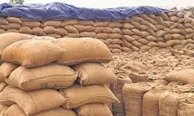 केंद्रों पर धूल खा रही किसानों की मेहनत , 60 प्रतिशत धान बिक्री से वंचित