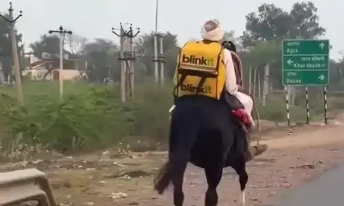 राजस्थान में ब्लिंकिट की डिलीवरी ऐसी गाड़ी पर आई, जिसे देखकर सभी हुए हैरान, यहां देखें वीडियो