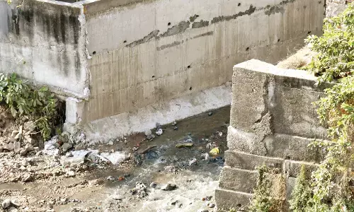 नाग नदी - दो बार राशि का प्रावधान, पर रकम नहीं मिली, सिर्फ कागजों पर काम-काज