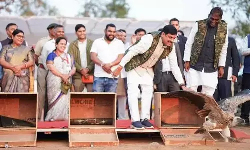 पारिस्थितिकी तंत्र में सहयोगी पशु पक्षियों के संरक्षण के लिए राज्य सरकार प्रतिबद्ध - मुख्यमंत्री डॉ यादव पारिस्थितिकी तंत्र में सहयोगी पशु पक्षियों के संरक्षण के लिए राज्य सरकार प्रतिबद्ध - मुख्यमंत्री डॉ यादव