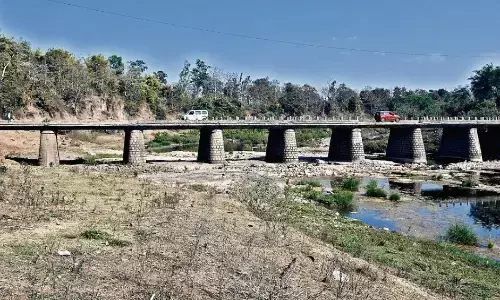 शहर के आसपास आधा दर्जन ब्रिज ऐसे जो सालों से मरम्मत को तरस रहे
