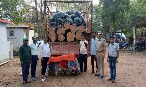 गडचिरोली में सागौन समेत 18.57 लाख रुपए का माल जब्त