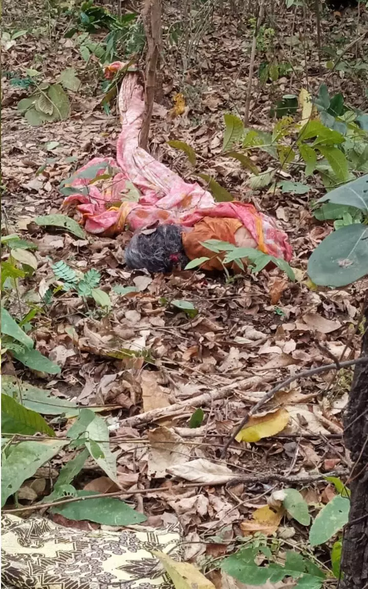 बाघ के हमले में दो माह में चार मौत , झाडू के लिए लकड़ियां लाने जंगल गई थी वृद्धा, घर लौटा क्षत-विक्षत शव बाघ के हमले में दो माह में चार मौत , झाडू के लिए लकड़ियां लाने जंगल गई थी वृद्धा, घर लौटा क्षत-विक्षत शव