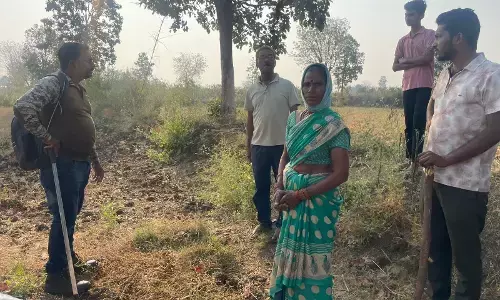 बिल्ली के बच्चे समझकर शावकों के पास पहुंची ही थी महिला कि आ धमकी मादा तेंदुआ