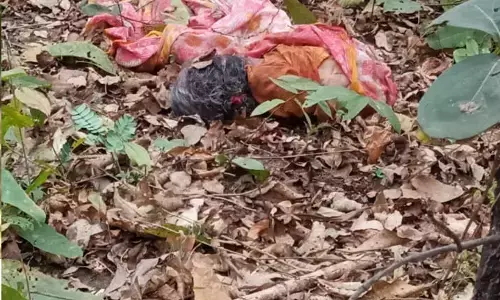 बाघ के हमले में दो माह में चार मौत , झाडू के लिए लकड़ियां लाने जंगल गई थी वृद्धा, घर लौटा क्षत-विक्षत शव