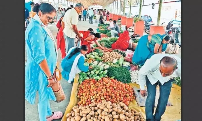 ‘जैविक हाट’ में रसायन-मुक्त उत्पादों पर बढ़ा लोगों का भरोसा ‘जैविक हाट’ में रसायन-मुक्त उत्पादों पर बढ़ा लोगों का भरोसा