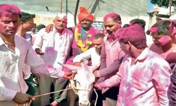 मिल गए है गांव के नए दामाद जी, रात गुप्त स्थान पर करेंगे आराम, होलिका दहन के बाद सुबह होंगे गधे पर सवार - जुटेगा मजमा और उड़ेगा गुलाल मिल गए है गांव के नए दामाद जी, रात गुप्त स्थान पर करेंगे आराम, होलिका दहन के बाद सुबह होंगे गधे पर सवार - जुटेगा मजमा और उड़ेगा गुलाल