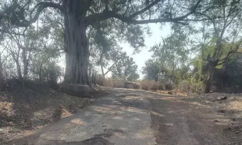 सुनहरा सड़क मार्ग की हालत खराब, राहगीर परेशान, पुलिया और गहरे गढ्ढों के बीच ग्रामीण जोखिम में