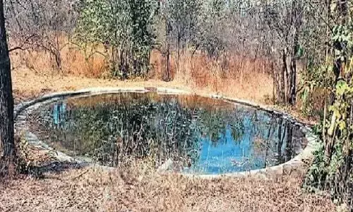 वन्य प्राणियों की प्यास बुझाने प्रत्येक 3 वर्ग किमी में एक कृत्रिम तालाब
