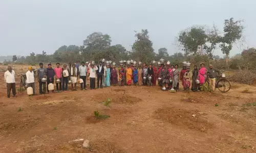 श्रमदान से संवरी फलोद्यान और बांस की खेती , मिला जीवनदान
