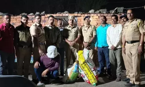 अंबाजोगाई में 10 लाख रुपये का गांजा ज़ब्त, एक आरोपी गिरफ्तार - दो आरोपी फरार