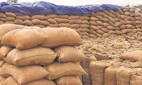 गोंदिया के 50 हजार 736 धान उत्पादक किसान अभी भी कर रहे इंतजार