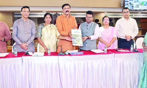 स्मार्ट पुणे, ओवर स्मार्ट बजट…