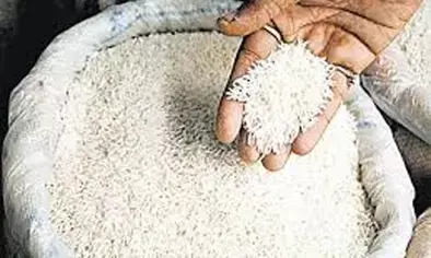 अब तक लाखनी तहसील की राशन दुकानों में नहीं पहुंचा चावल