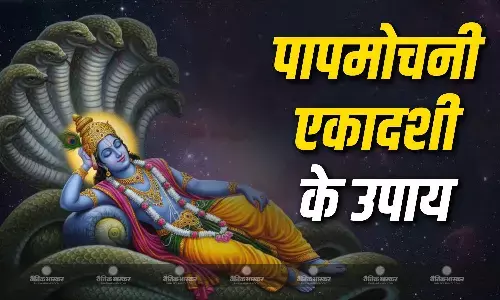 पापमोचनी एकादशी पर करें ये अचूक उपाय, दरिद्रता होगी दूर, खुलेंगे तरक्की के रास्ते