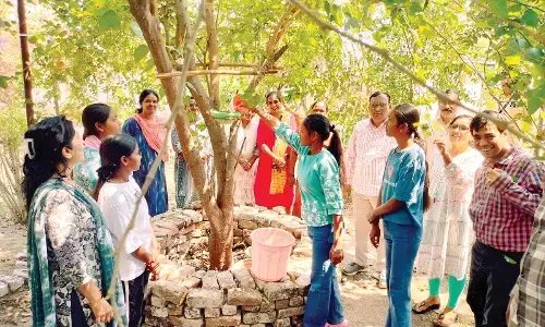 वापस आओ गौरैया की पहल के माध्यम से दिया पर्यावरण संरक्षण का संदेश, छोटी-सी संवेदनशीलता भी बड़ा संदेश