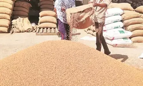 5 हजारी होते ही बढ़ी चना की आवक, तुअर, चना और सोयाबीन पर ही टिका मंडी का कारोबार