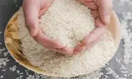 युद्ध का असर, 1200 करोड़ के चावल निर्यात पर लगा ब्रेक