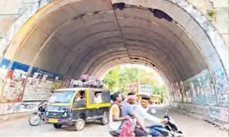 मधुमक्खियों के हमले में महिला पुलिस कर्मी सहित तीन लोग गंभीर