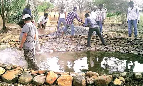 विदर्भ के जंगलों में 350 जलस्रोत बन रहे वन्यजीवों की जीवनरेखा