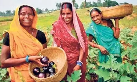 महिला किसानों सशक्तिकरण के लिए विधेयक बनाने समिति का गठन, राज्य के कृषि विभाग ने जारी किया शासनादेश