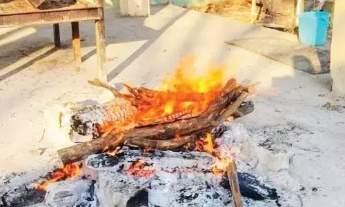 घायल तेंदुए की टीटीसी में उपचार के दौरान मौत