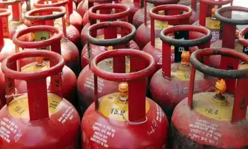 गडचिरोली में 456 जगहों पर छापेमारी व्यवसायिक संकट बरकरार