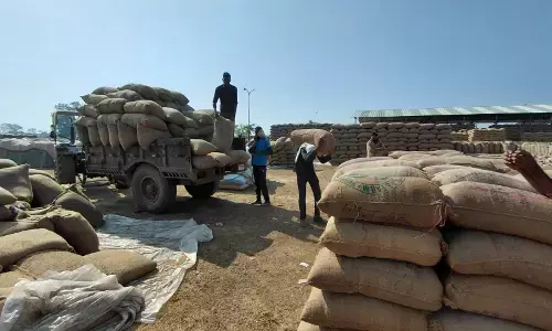 धान खरीदी में बड़ा खेल, शॉर्टेज के नाम पर करोड़ों का घोटाला