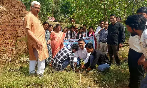 एनएसएस स्वयंसेवकों द्वारा किया गया पौधारोपण