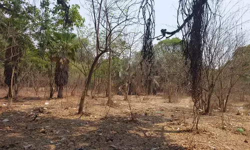 एम्प्रेस बोटेनिकल गार्डन की जमीन हस्तांतरण प्रस्ताव पर विवाद तेज