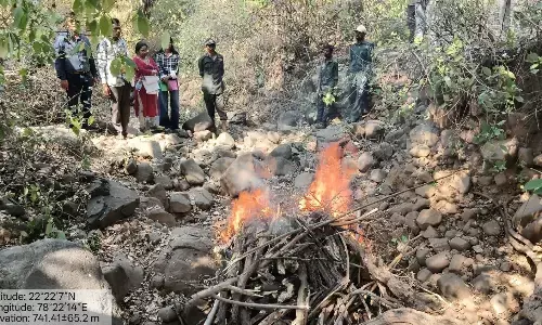 सतपुड़ा टाइगर रिजर्व पार्क के टाइगर का शव सांगाखेड़ा रेंज में मिला