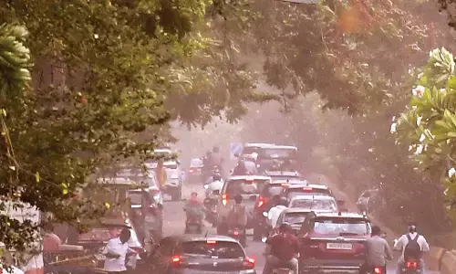 दोपहर में चली तेज हवा, पेड़ हुआ धराशाई, इस महीने पारा 40 के हुआ पार