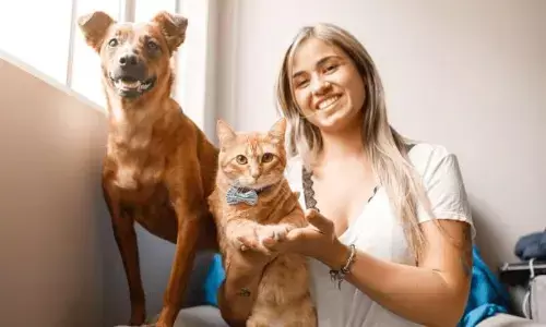 दुनिया में है एक ऐसा देश जहां जानवरों के बीमार होने पर मिलती है छुट्टी, जानकर आप भी हो जाएंगे हैरान