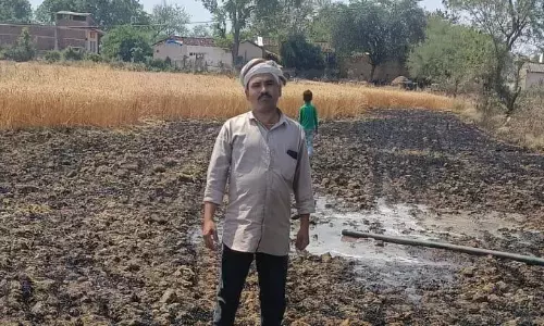 गेहूं के खेत में भीषण आग, फसल जलकर राख गेहूं के खेत में भीषण आग, फसल जलकर राख