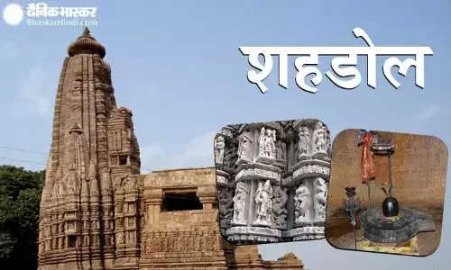 धनगवां बीट में कोयला माफिया ने वन अमले को रोका, की मारपीट