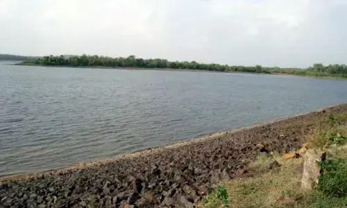 नदियों का घटा जलस्तर, स्थिति चिंताजनक, बांधों में बचा केवल 51 फीसदी पानी नदियों का घटा जलस्तर, स्थिति चिंताजनक, बांधों में बचा केवल 51 फीसदी पानी