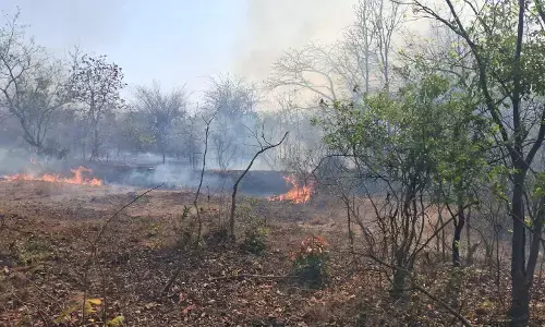 गोंदिया जिले की हजारों एकड़ जंगल आग की चपेट में