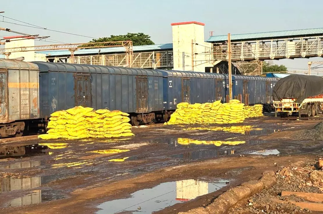 चंद्रपुर में बिजली गिरने से मवेशियों की मृत्यु 231 हेक्टेयर क्षेत्र की फसलें बर्बाद चंद्रपुर में बिजली गिरने से मवेशियों की मृत्यु 231 हेक्टेयर क्षेत्र की फसलें बर्बाद