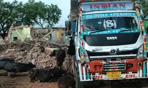 पशु तस्करी की कोशिश नाकाम, 3 के खिलाफ एफआईआर