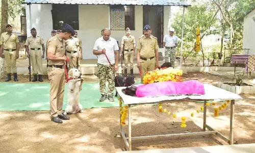 शासकीय सम्मान के साथ हुआ भंडारा पुलिस विभाग के नॉटी डॉग का अंतिम संस्कार