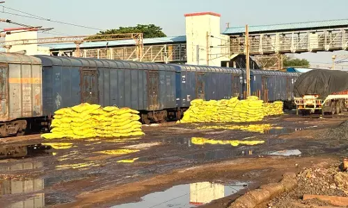 चंद्रपुर में बिजली गिरने से मवेशियों की मृत्यु 231 हेक्टेयर क्षेत्र की फसलें बर्बाद