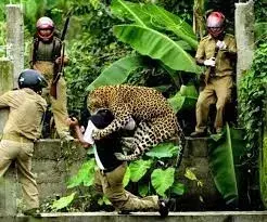 कीर्तिवर्धन सिंह ने कहा - मानव-जंगली जीव संघर्ष की रोकथाम के लिए गाइडलाइंस और स्कीमों के जरिए राज्यों को हर मुमकिन मदद