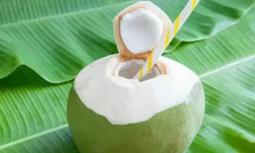 अगर हर रोज पिएंगे नारियल पानी, तो शरीर में दिखेंगे गजब के बदलाव, यहां देखें फायदों की लिस्ट