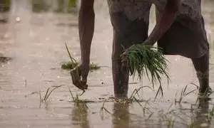 बसमत तहसील में दो किसानों की आत्महत्या से हड़कंप, प्रारंभिक जांच में खेती में नुकसान का खुलासा