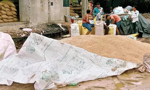 कलमना मंडी में खुले में छोड़ा सैकड़ों क्विंटल अनाज भीगकर हुआ खराब